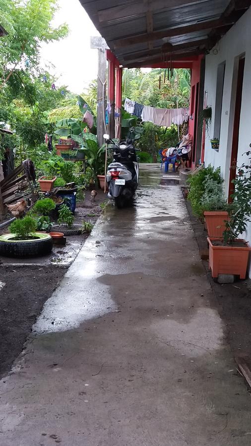 Mi Ranchito Acomodação com café da manhã Santa Cruz Exterior foto