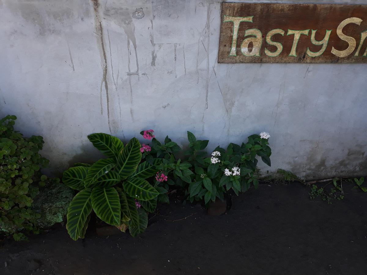 Mi Ranchito Acomodação com café da manhã Santa Cruz Exterior foto